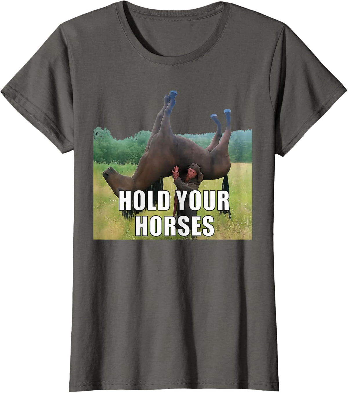 Hold Your Horses Funny Saying Men Women Sarcastic Humor T-Shirt - Asphalt Grey