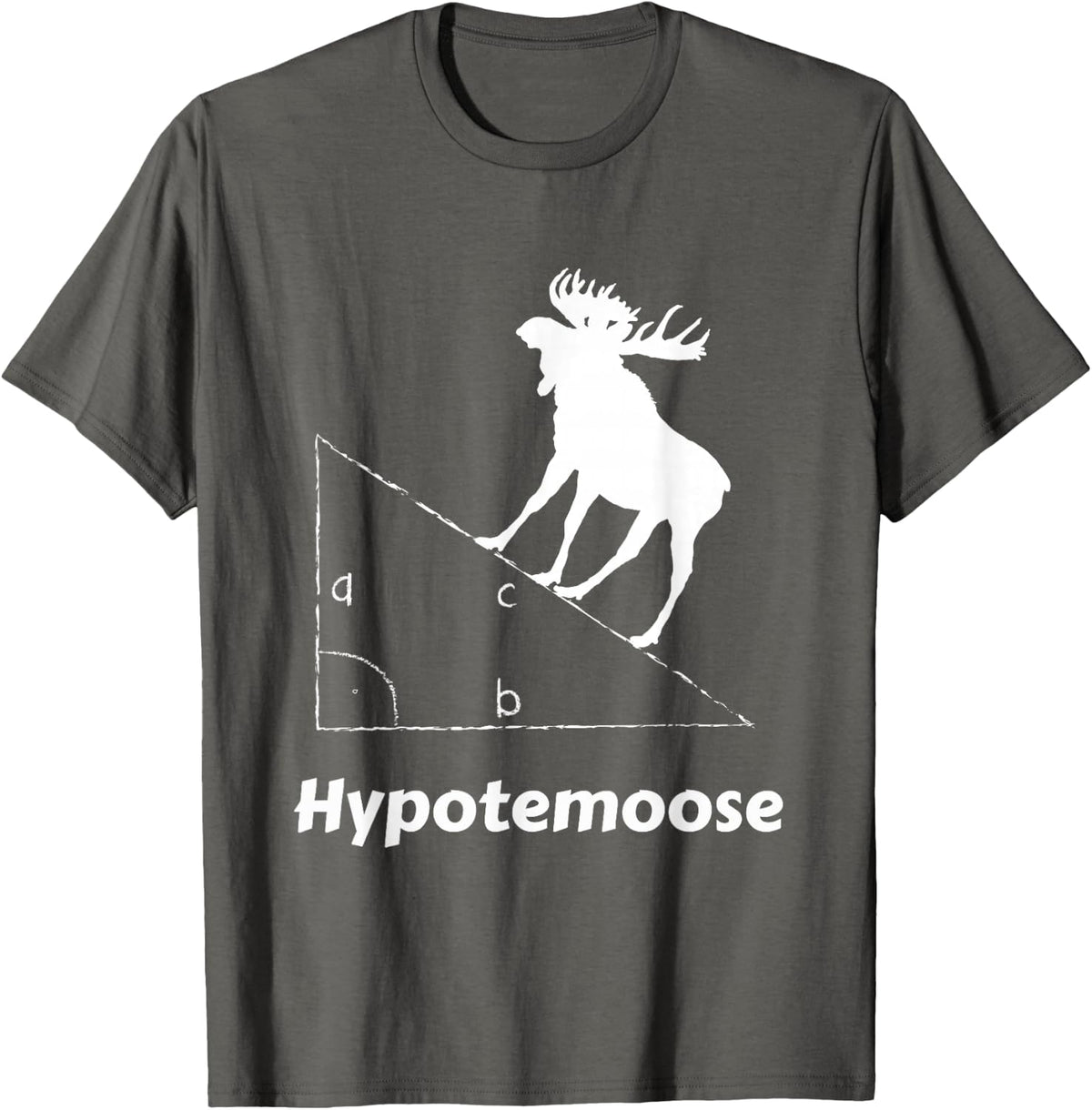 Hypotemoose - Funny Engineer Math Geek T-Shirt - Asphalt Grey