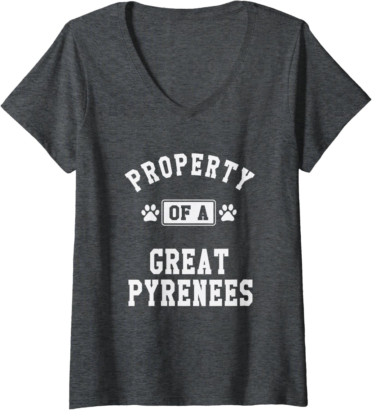 Women's Property of Great Pyrenees - Funny Pyrenees Dog Lover Shirt V-Neck T-Shirt - Dark Heather Grey