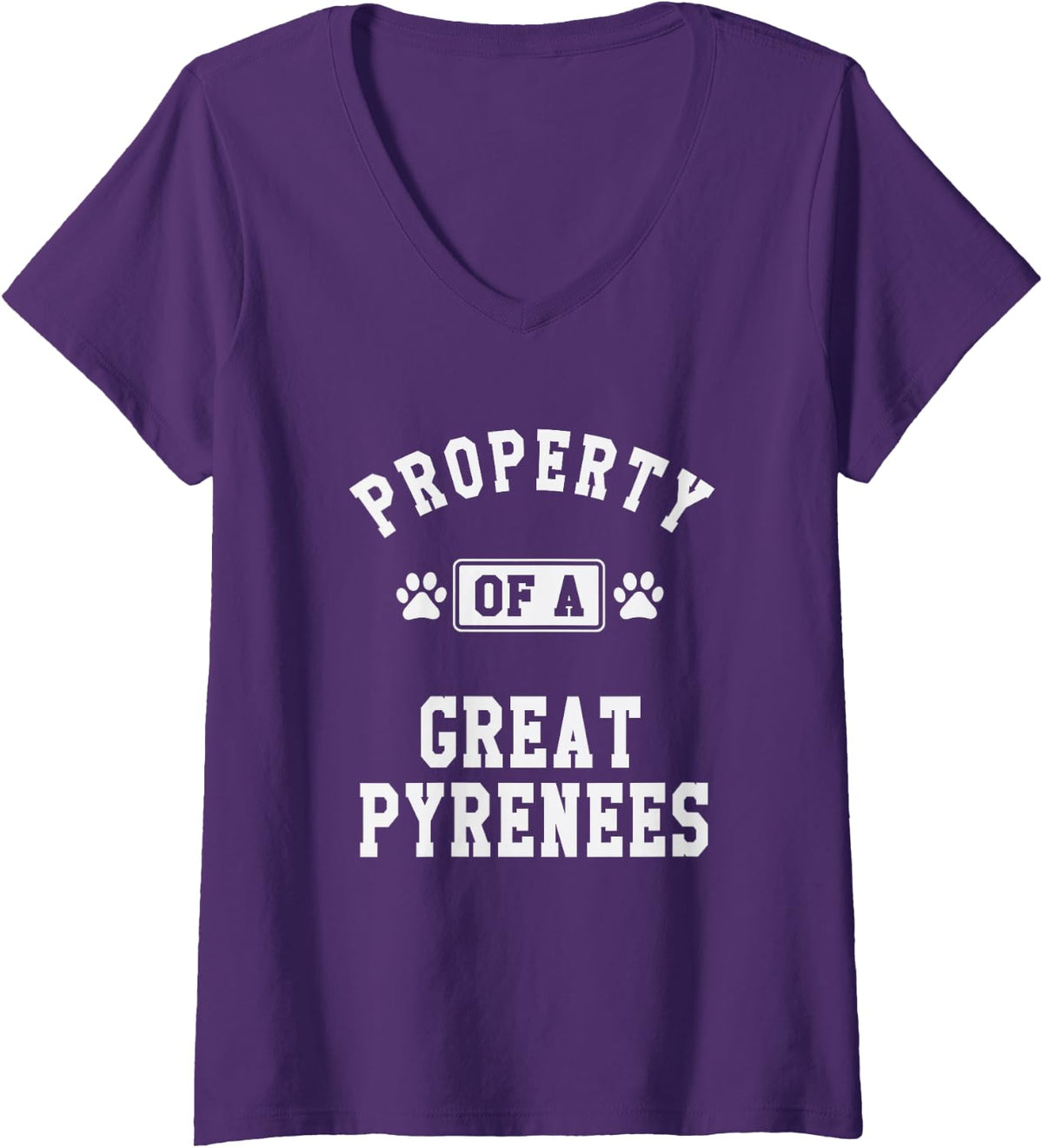 Women's Property of Great Pyrenees - Funny Pyrenees Dog Lover Shirt V-Neck T-Shirt - Purple