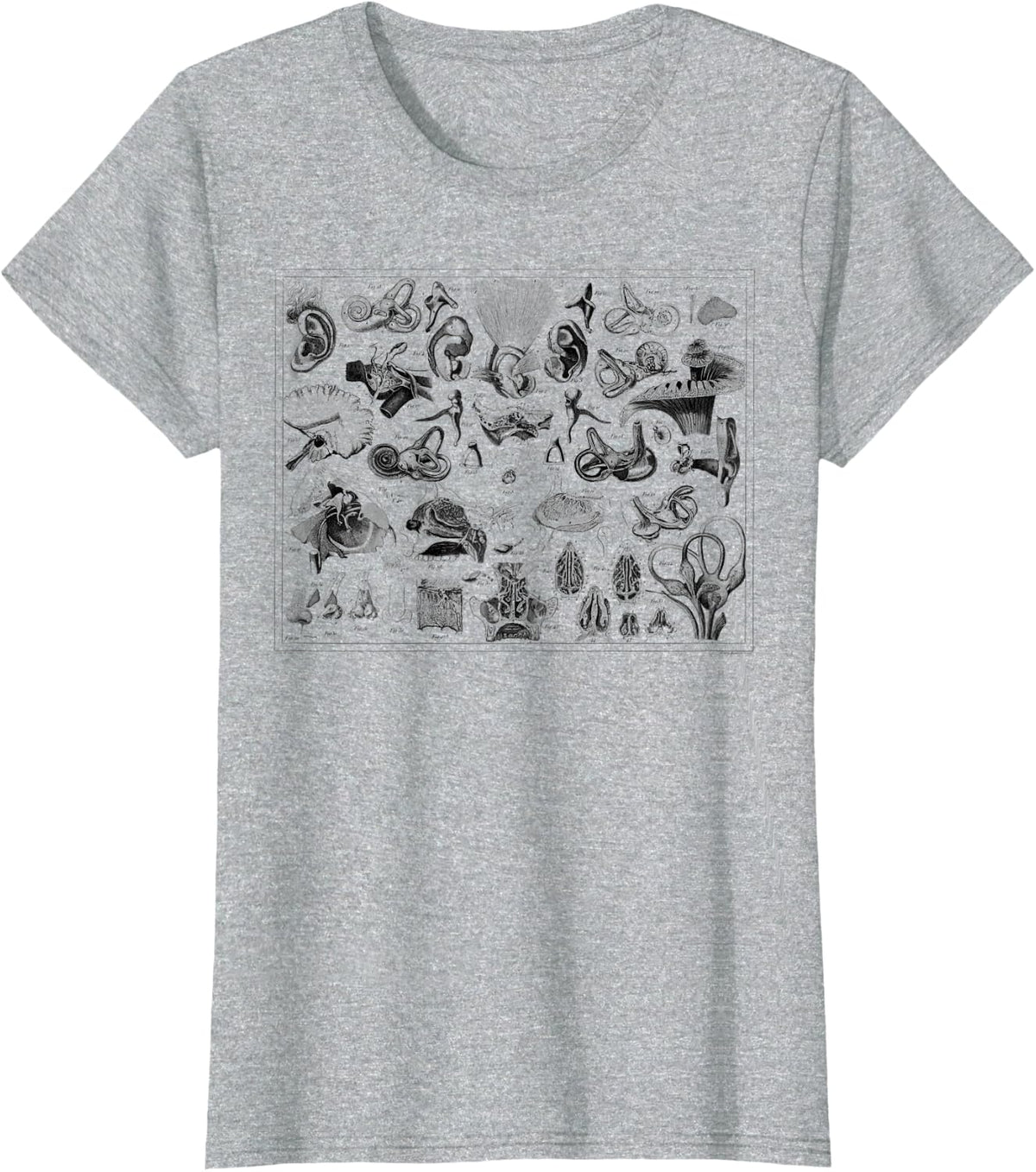 Inner Ear Anatomy Audiology Audiologist Vestibular Therapist T-Shirt - Heather Grey