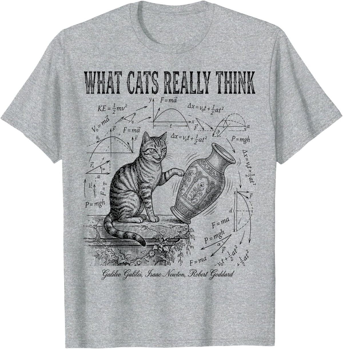 Funny Science What Cats Really Think Physics Nerd Humor T-Shirt - Heather Grey
